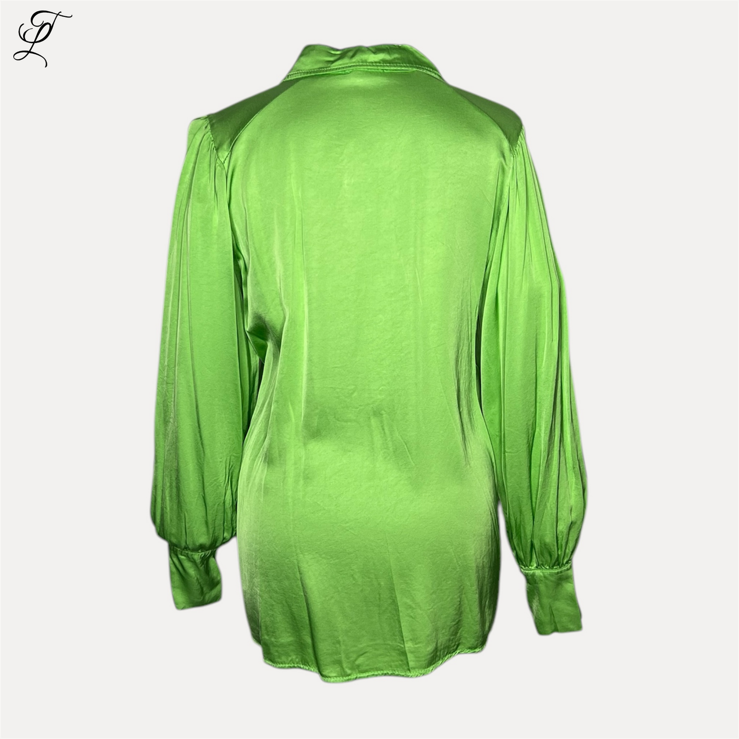 Chastar Zijde-Viscose Blouse in levendig felgroen met glanzende afwerking, elegante ballonmouwen en klassieke pasvorm. De luxueuze zijde-viscose stof valt soepel en geeft een subtiele glans. Perfect voor dagelijks draagcomfort. Blouses, Collectie