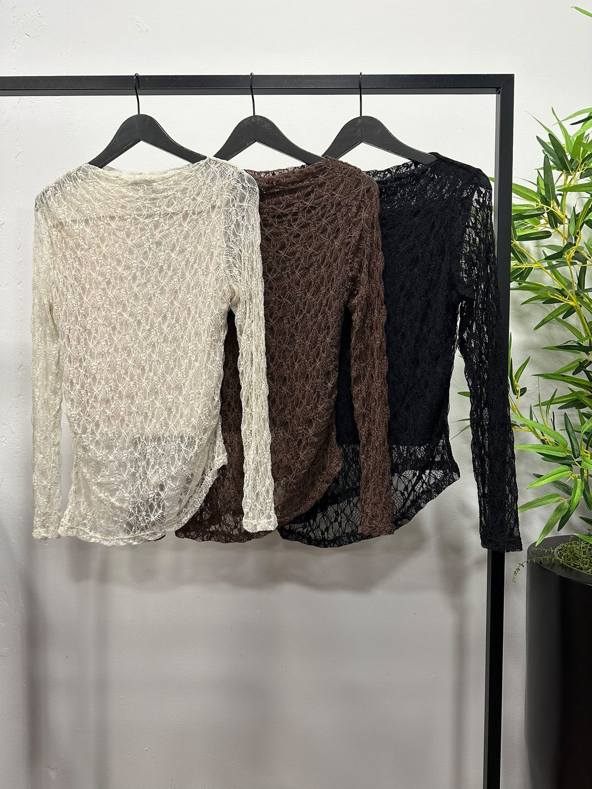 Chastar kanten top met ronde hals en lange mouwen in Beige, Choco Bruin en Zwart, samen op kledinghangers
