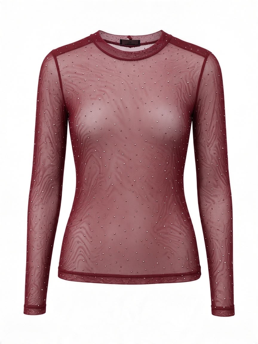 Chastar mesh top in Bordeaux, vooraanzicht met ronde hals, lange mouwen en kleine glinsterende details.