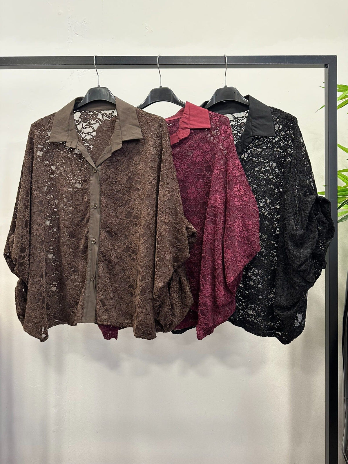 Chastar wijde kanten blouse in Bruin, Bordeaux en Zwart met bloemenkant, kraag en knoopsluiting, vooraanzicht